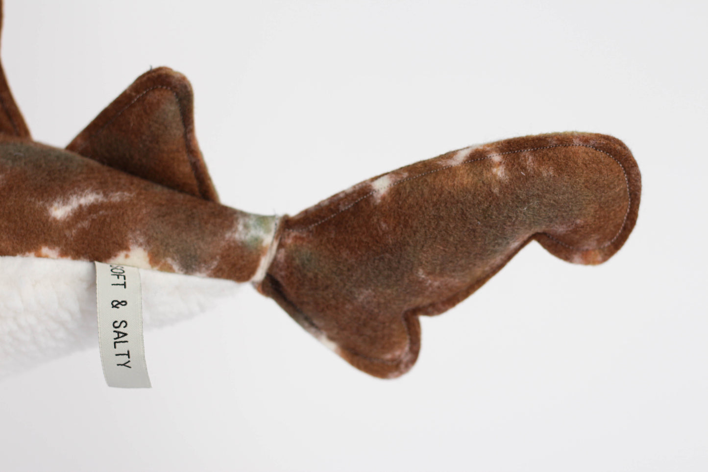 Wally the Wobbegong