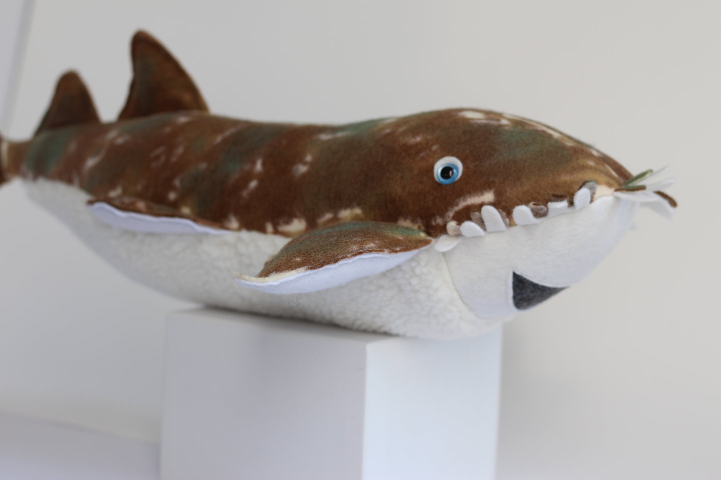 Wally the Wobbegong