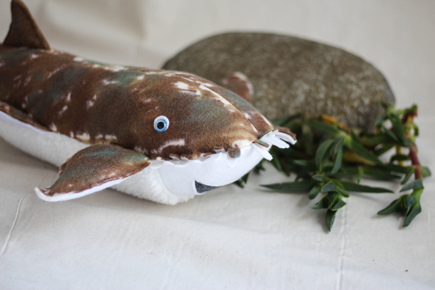 Wally the Wobbegong