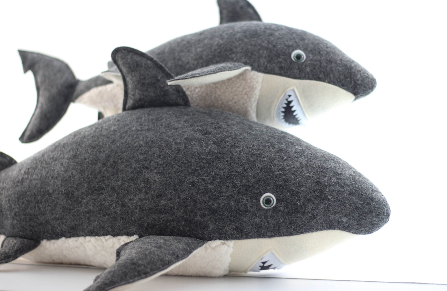 Gavin the Great White Shark