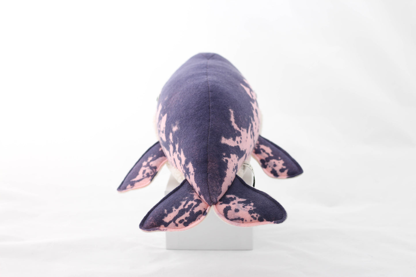 Nova the Narwhal