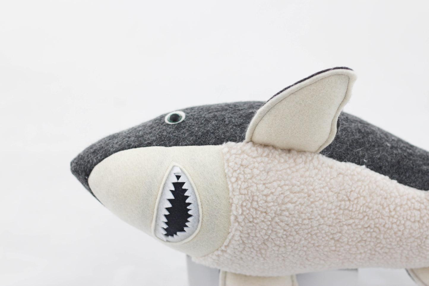 Great White Shark Pup