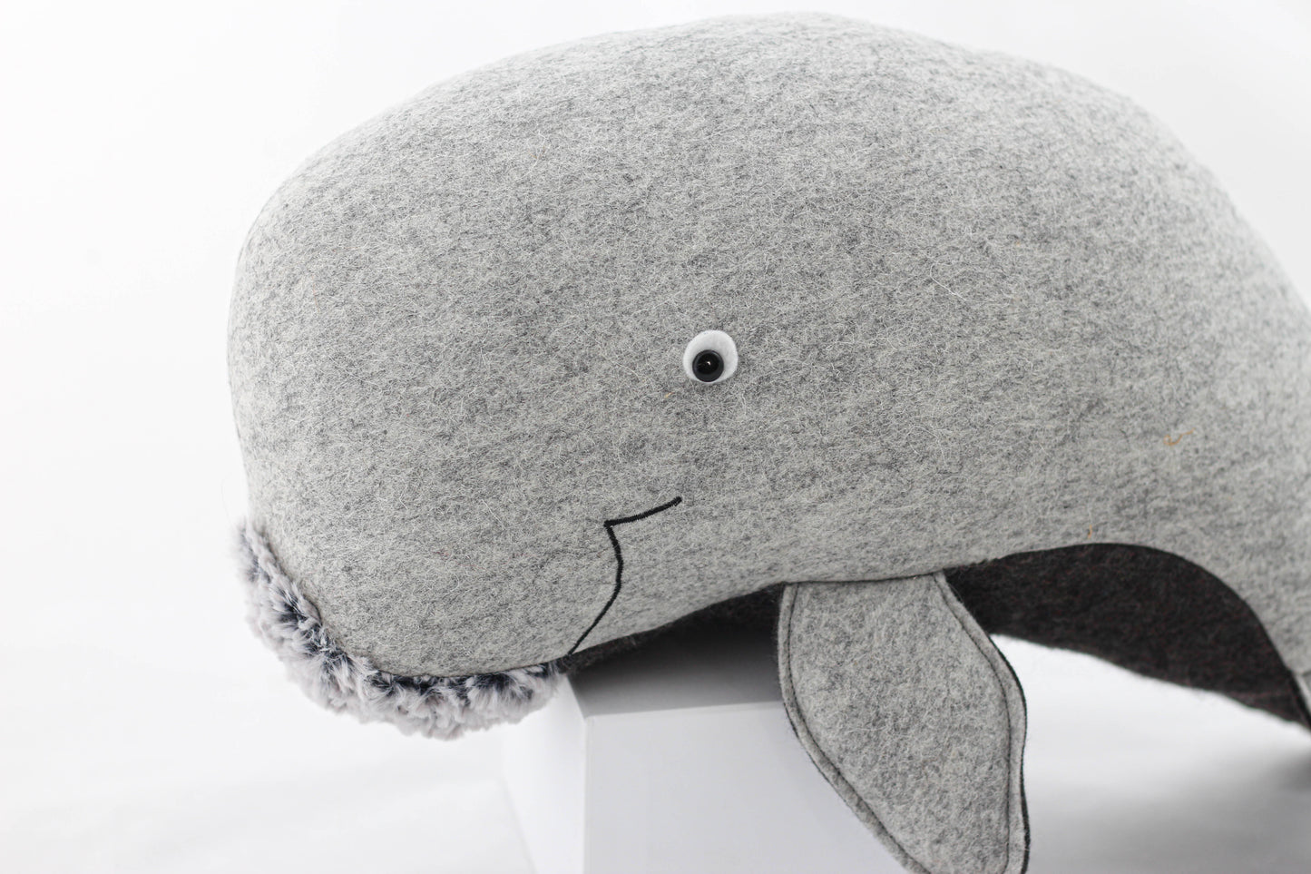 Doug the Dugong
