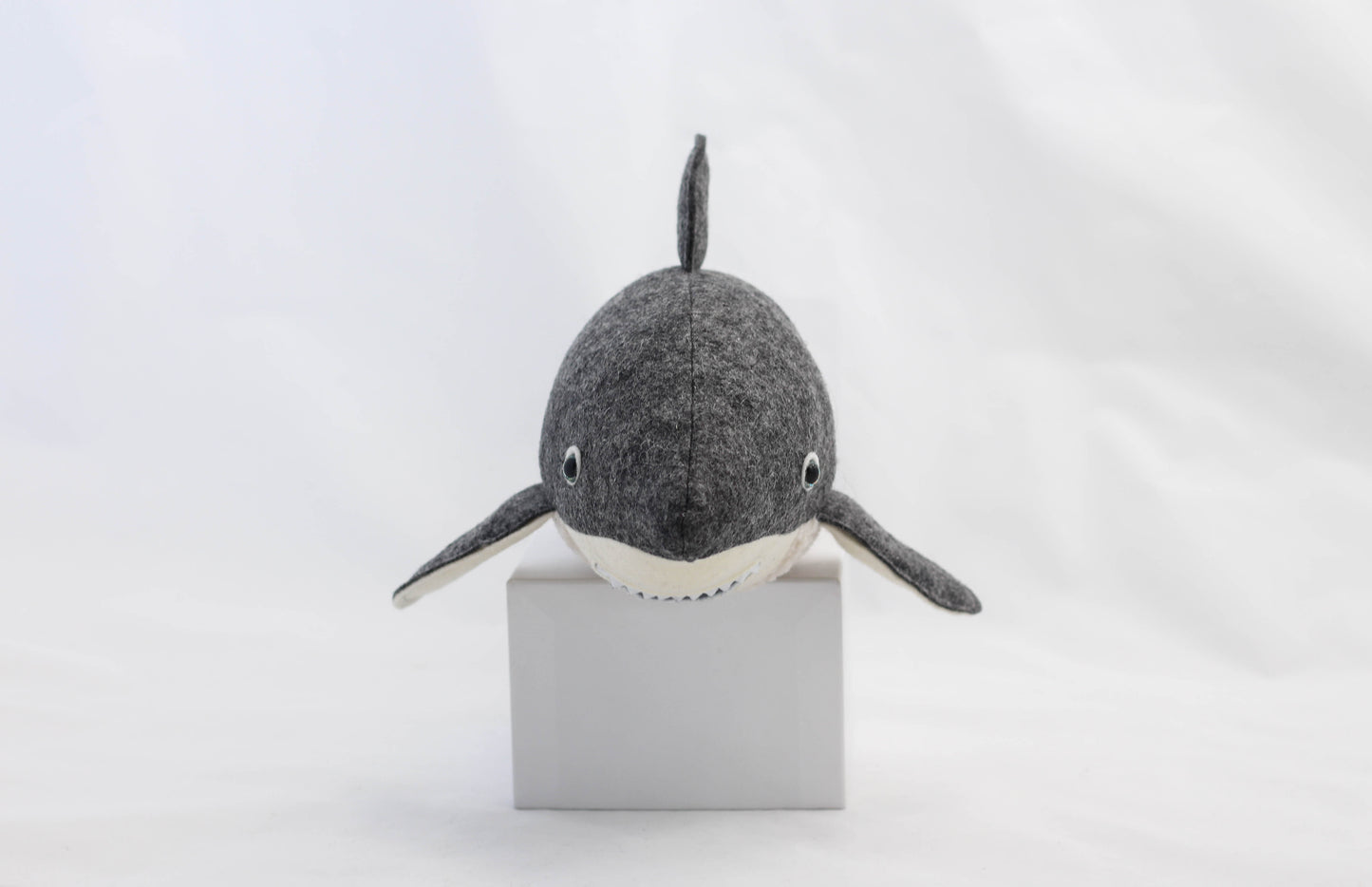 Great White Shark Pup