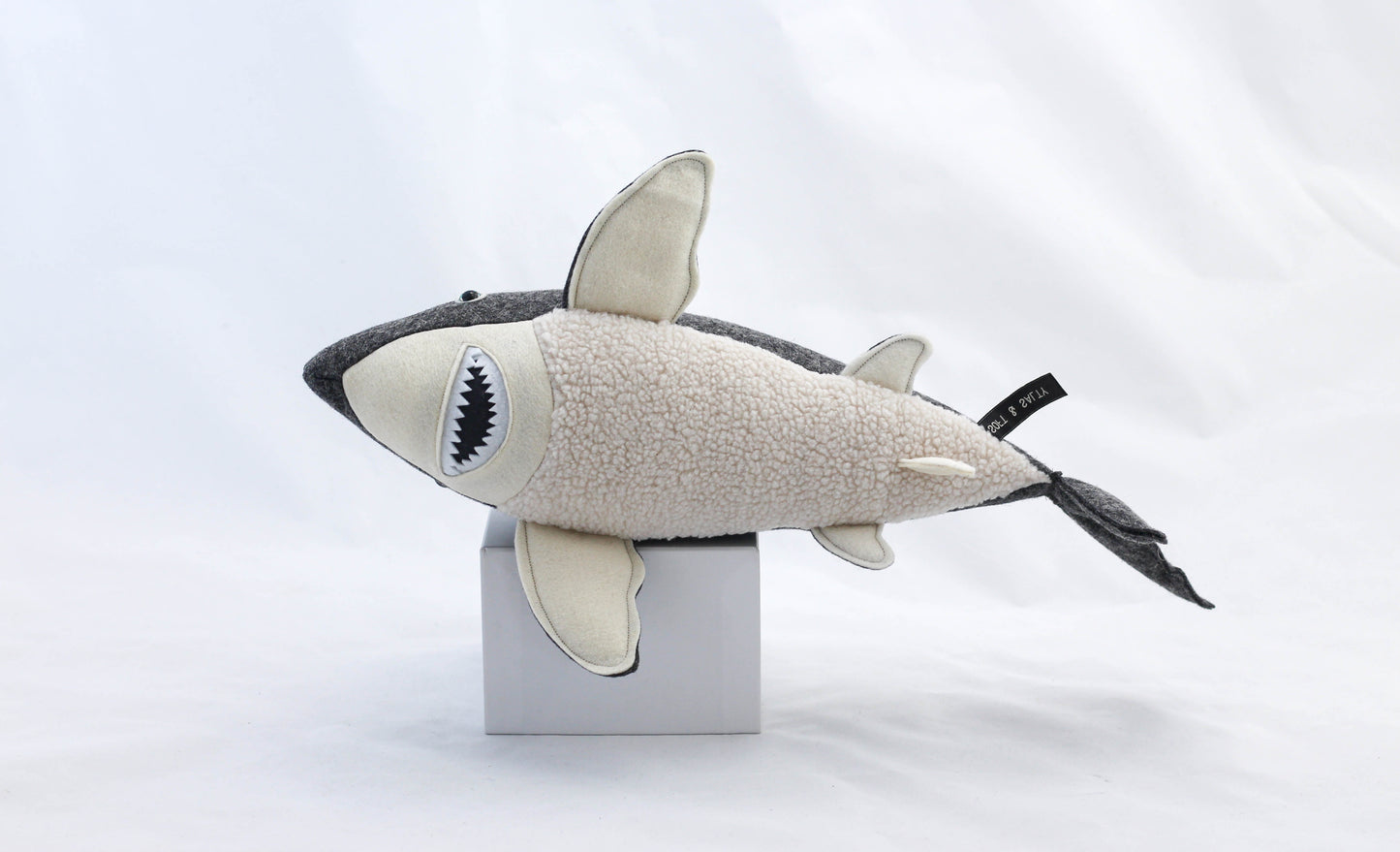 Great White Shark Pup