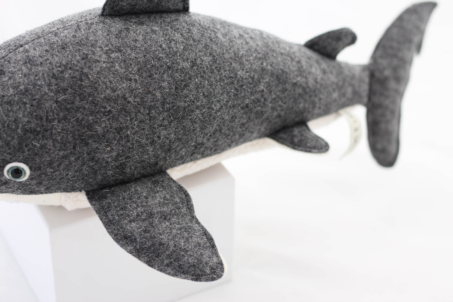 Great White Shark Pup