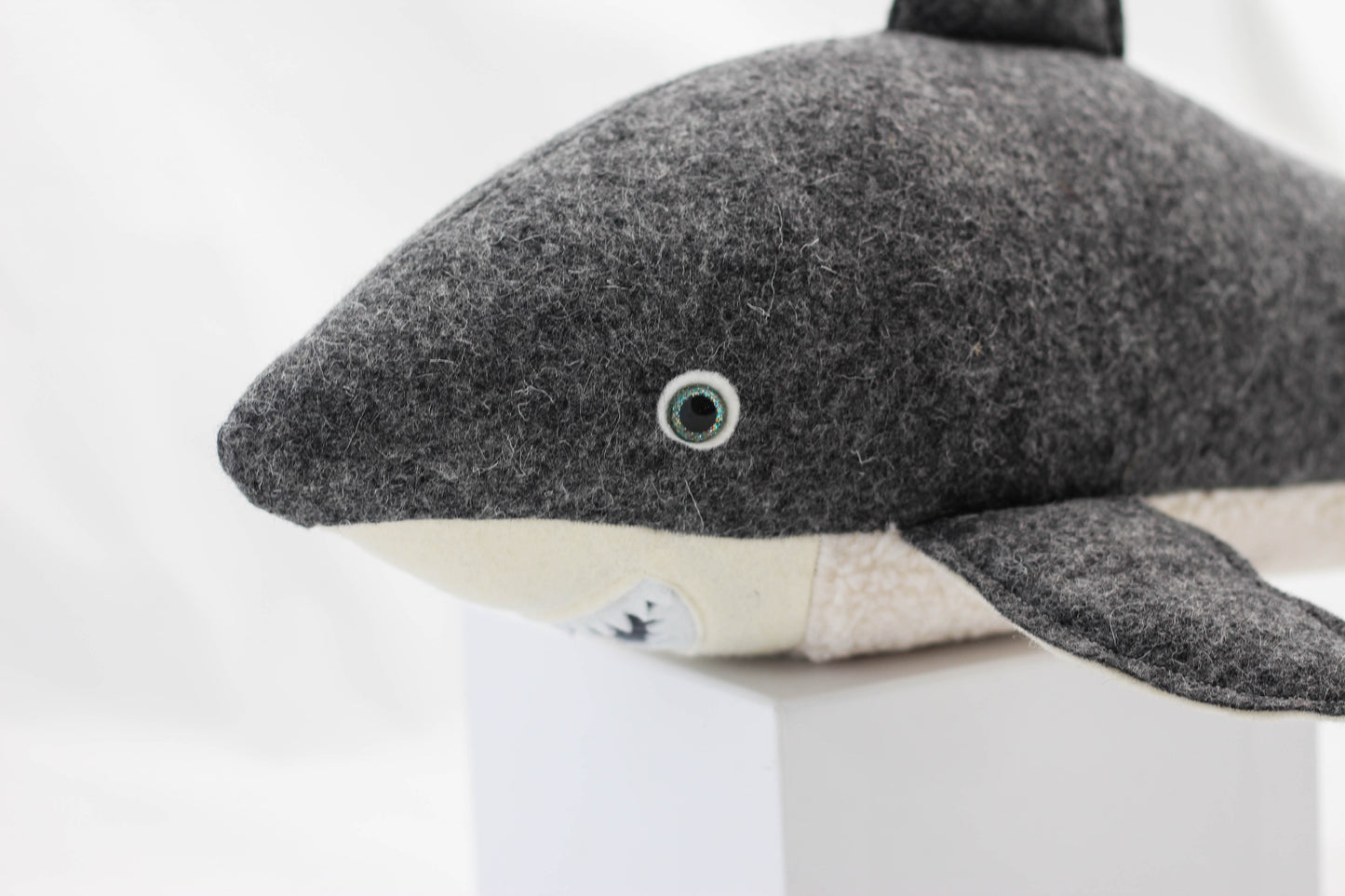 Great White Shark Pup