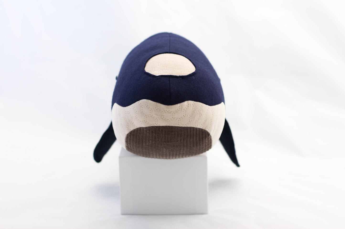 Steve the Southern Right Whale