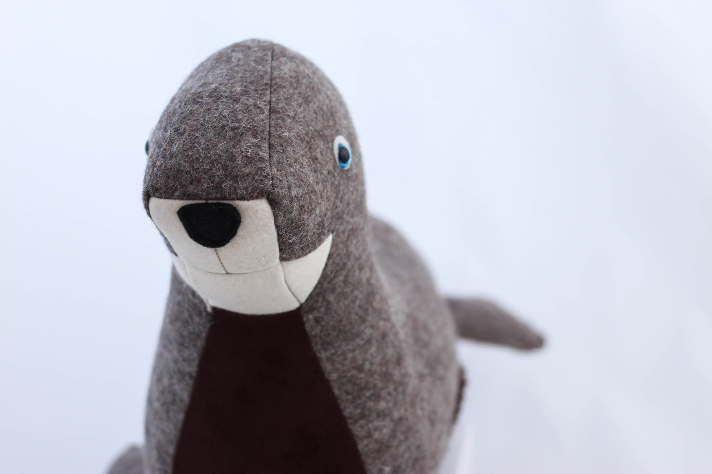 Stanley the Fur Seal
