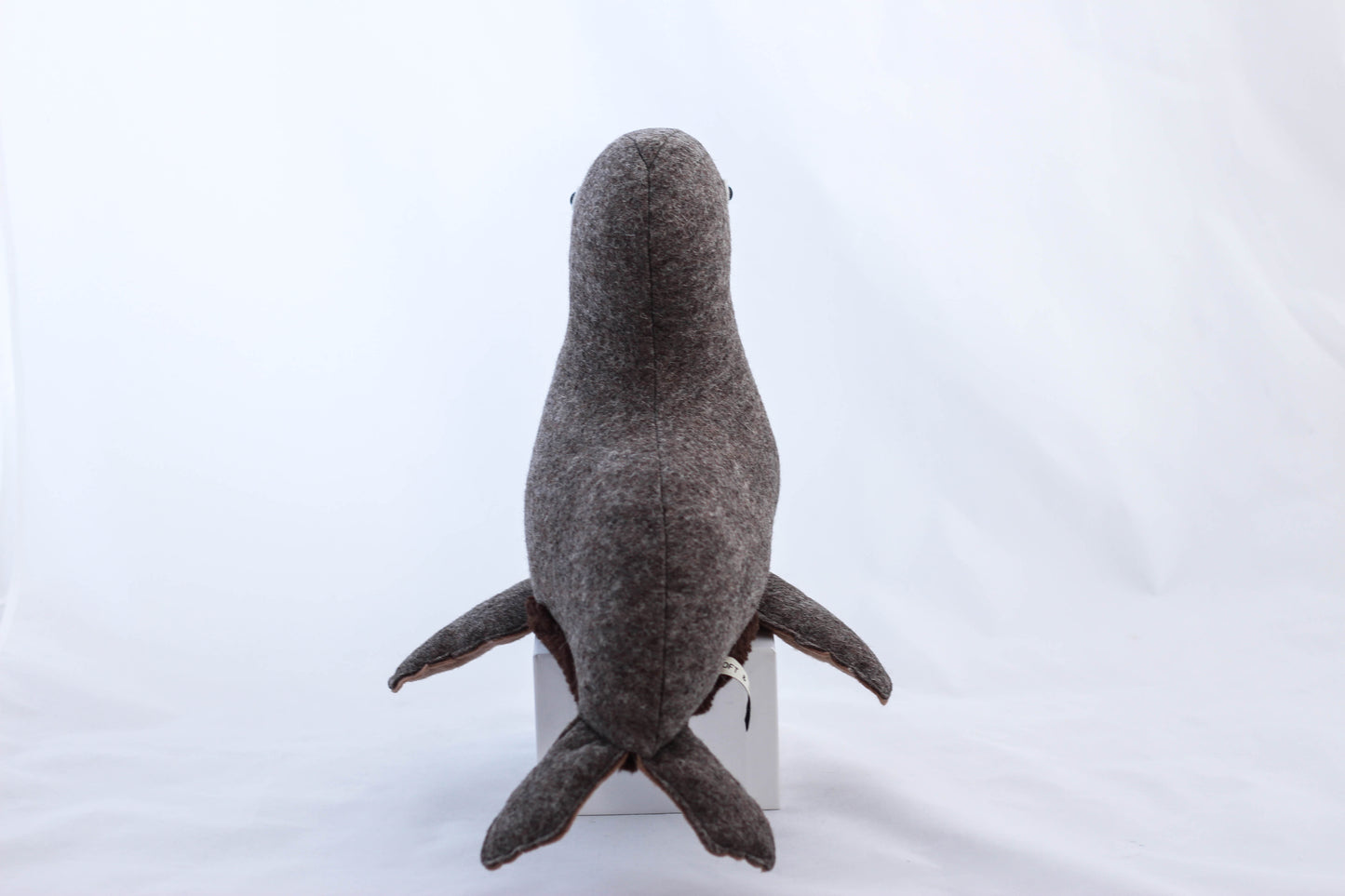 Stanley the Fur Seal
