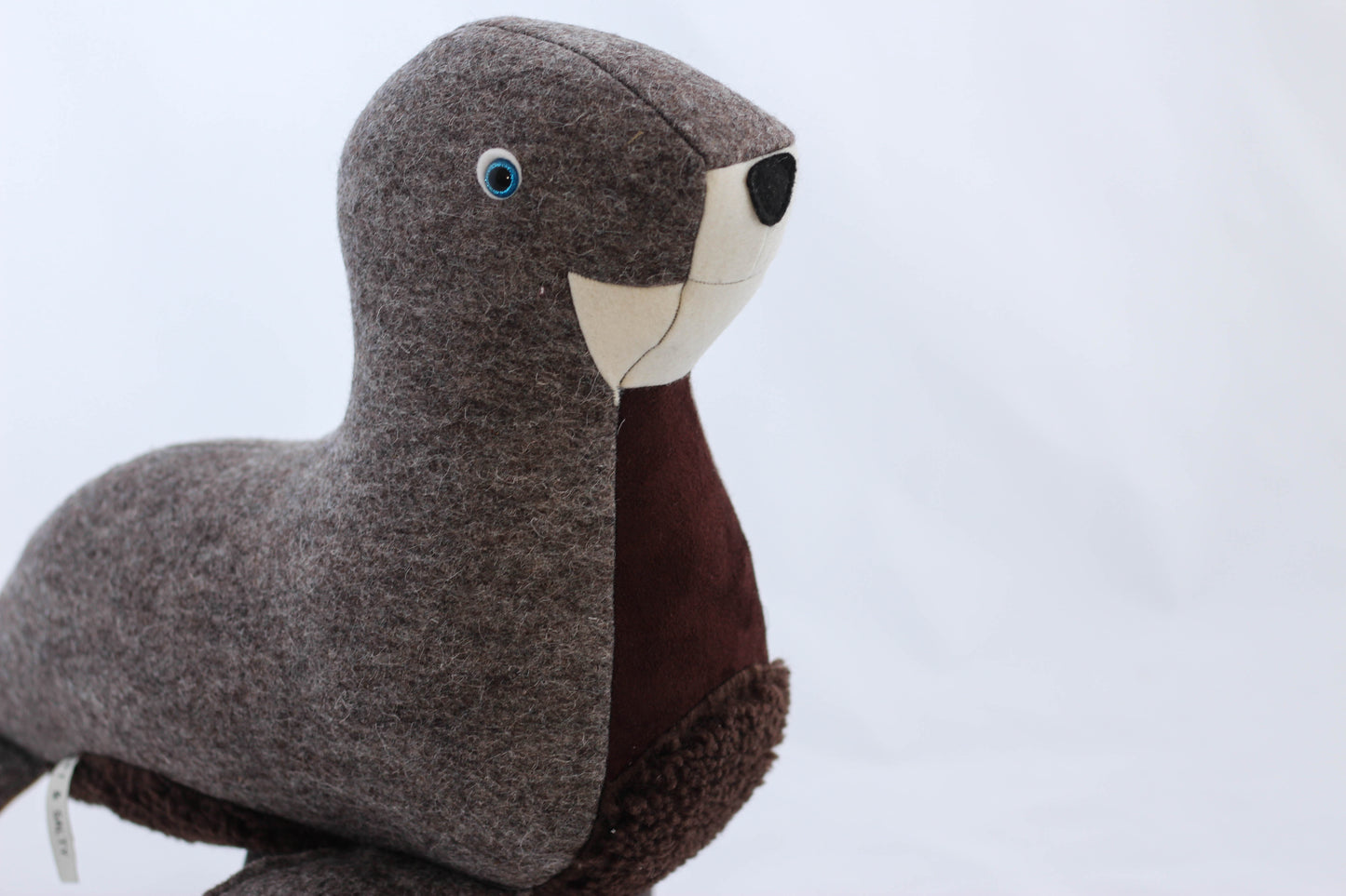 Stanley the Fur Seal