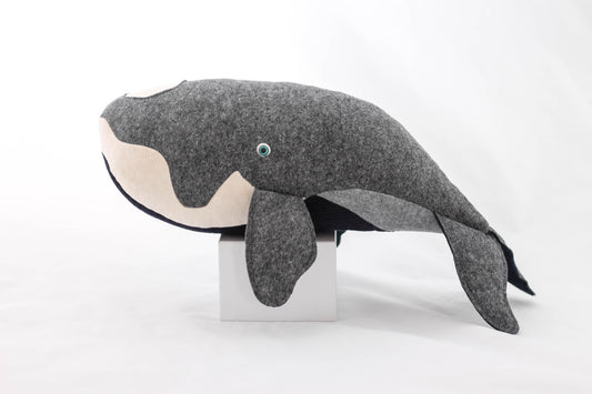 Sabrina the Southern Right Whale