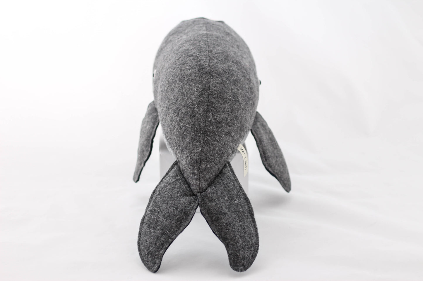 Sabrina the Southern Right Whale