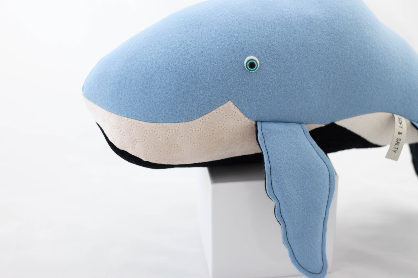 Benny the Humpback Whale