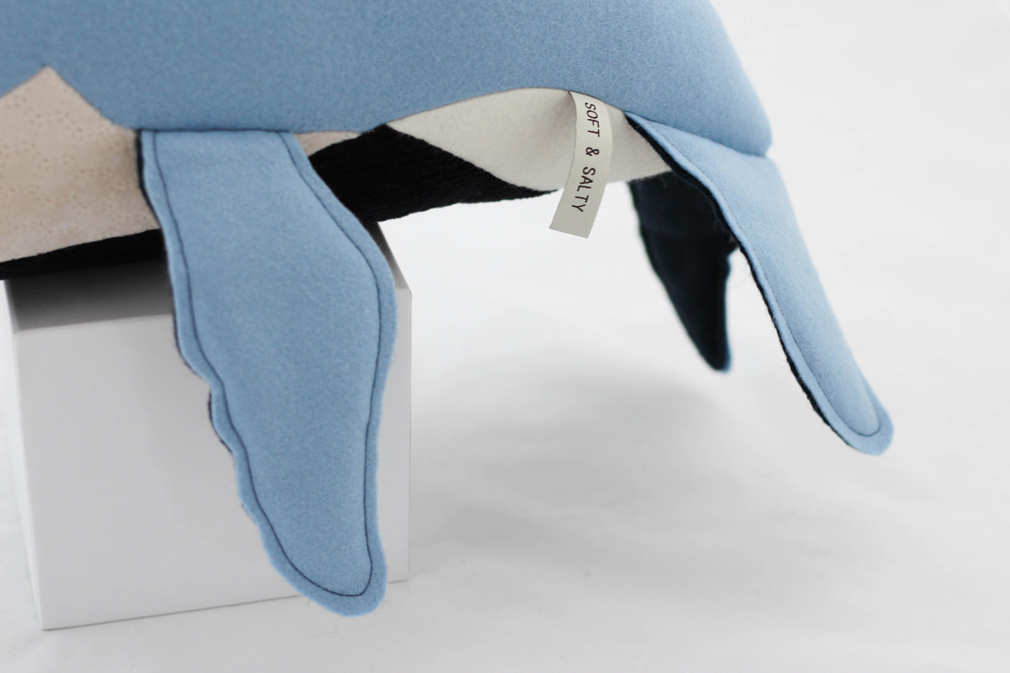 Benny the Humpback Whale