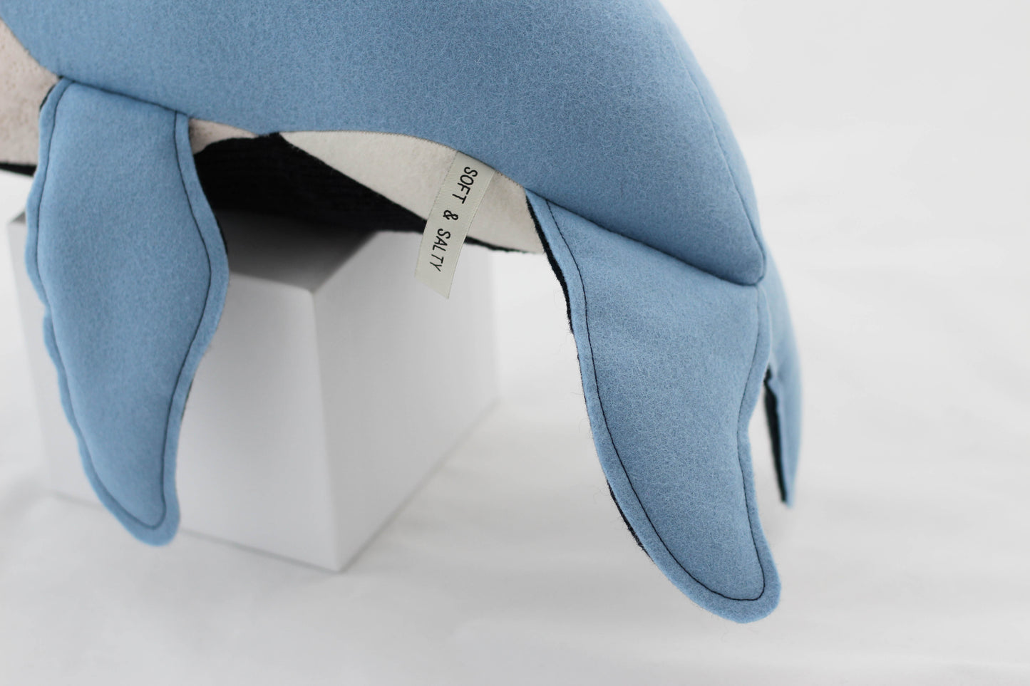 Benny the Humpback Whale