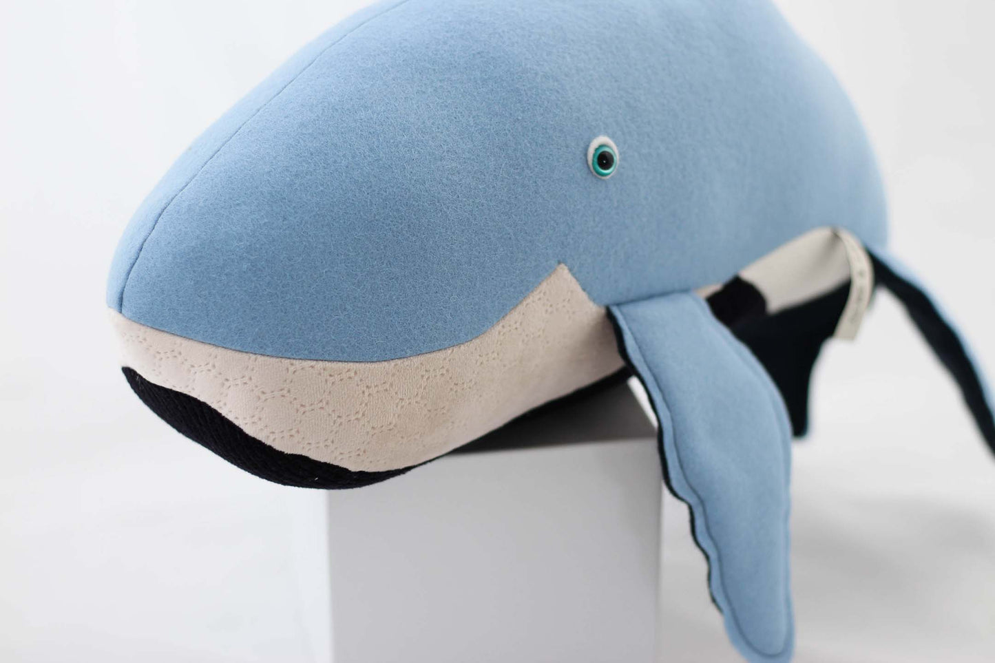 Benny the Humpback Whale