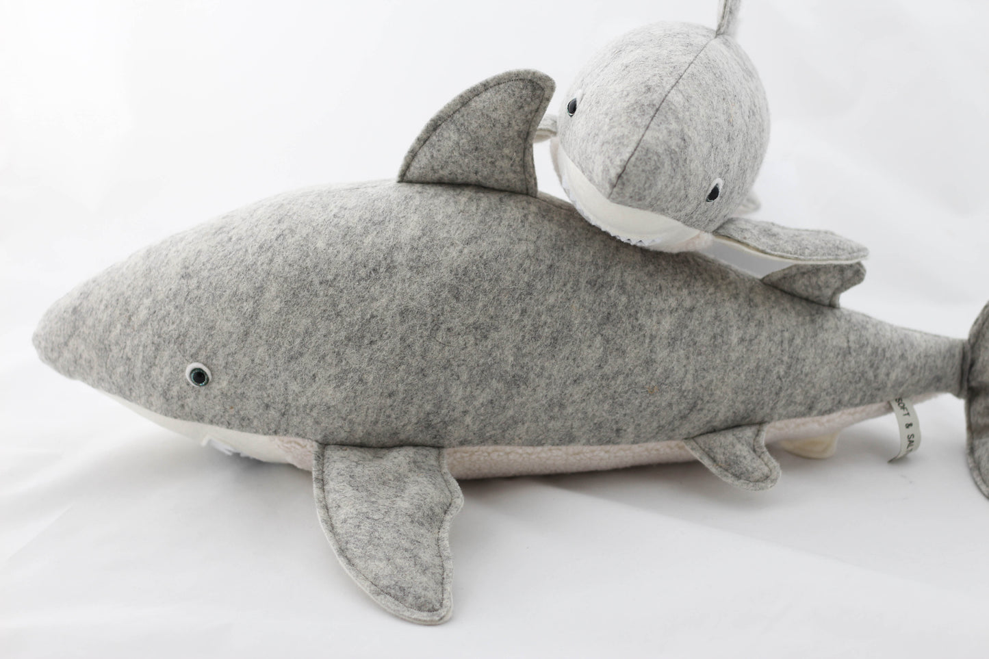 Great White Shark Pup