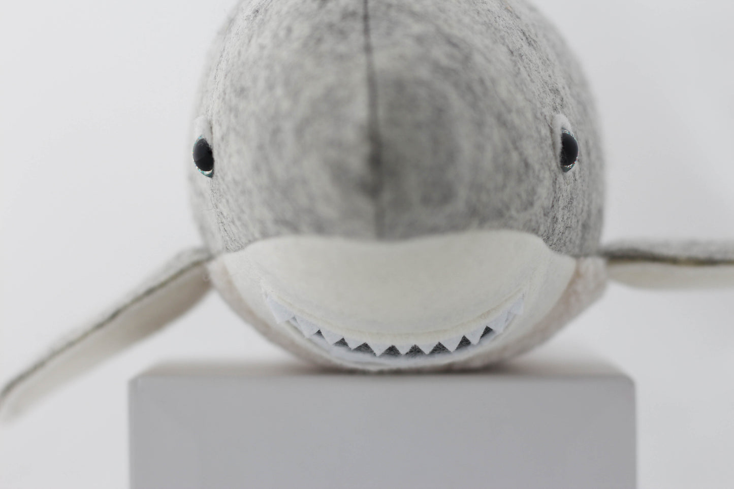 Gilly the Great White Shark