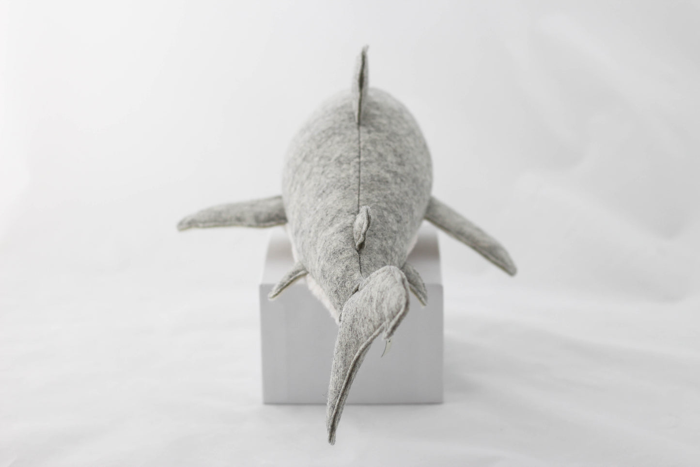 Great White Shark Pup