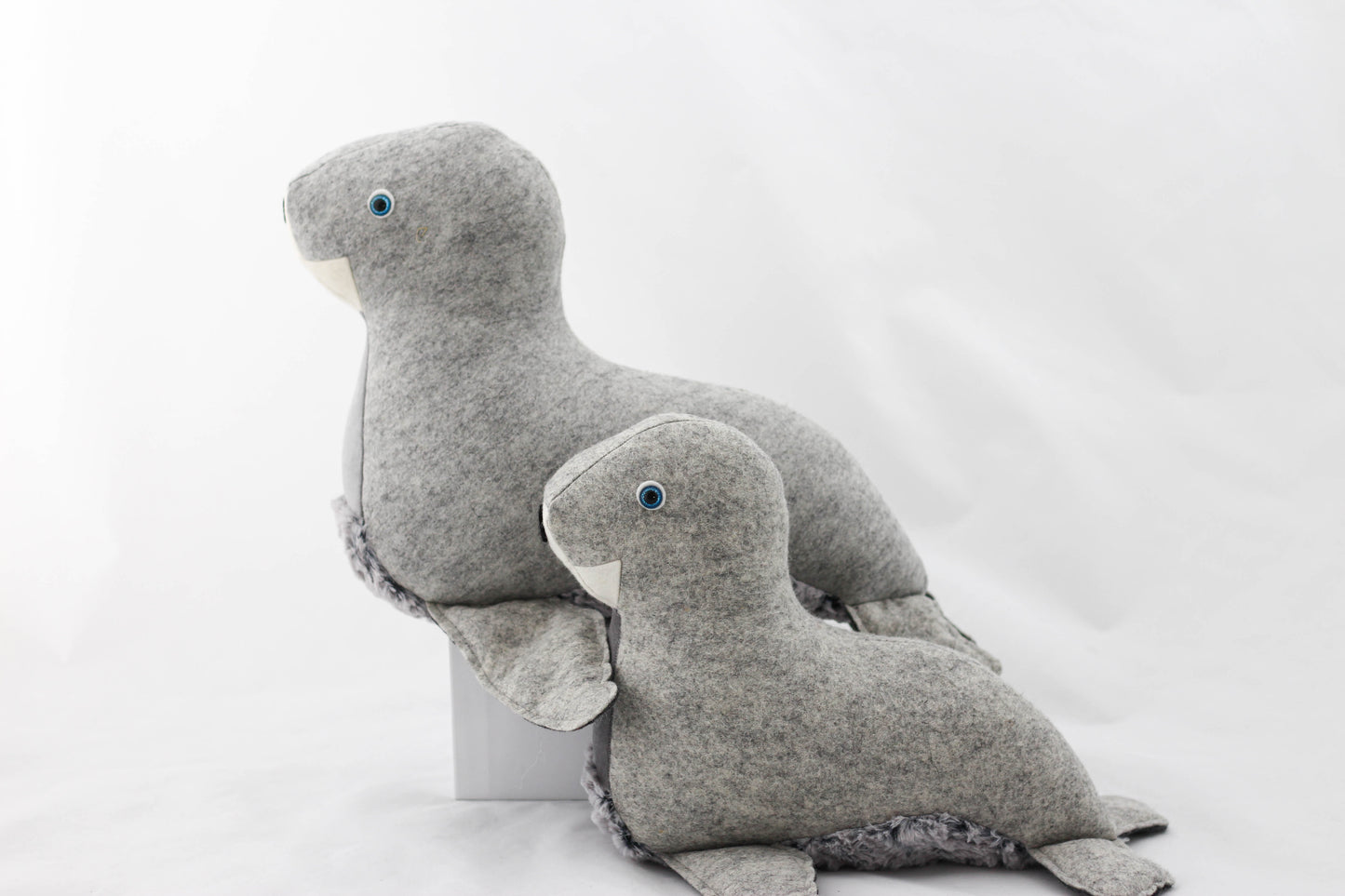 Stephanie the Fur Seal