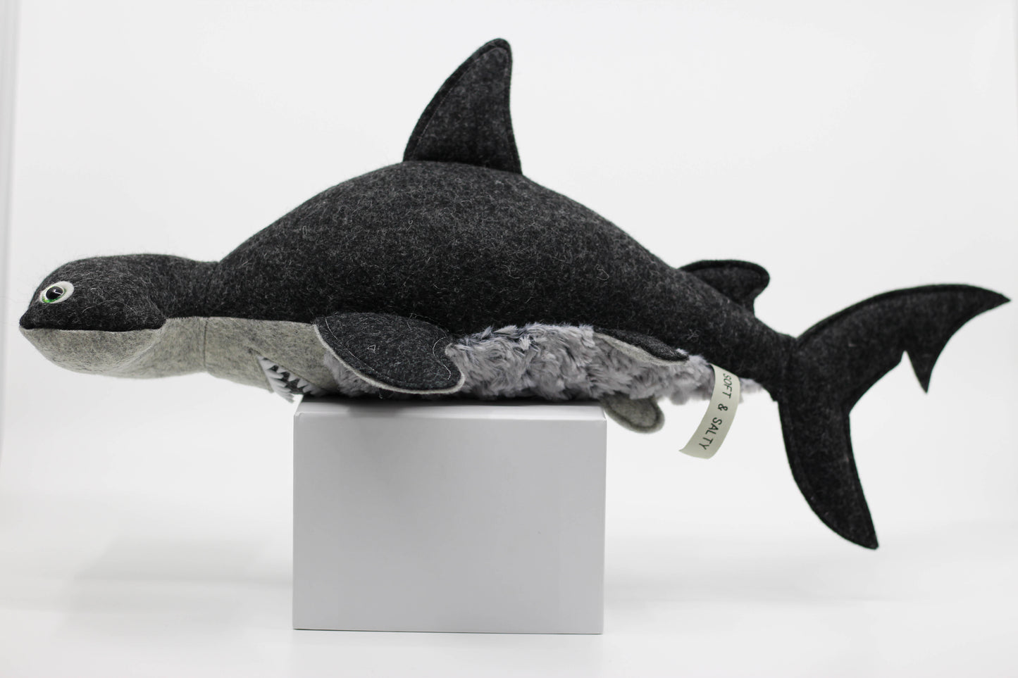 Hammerhead Shark Pup