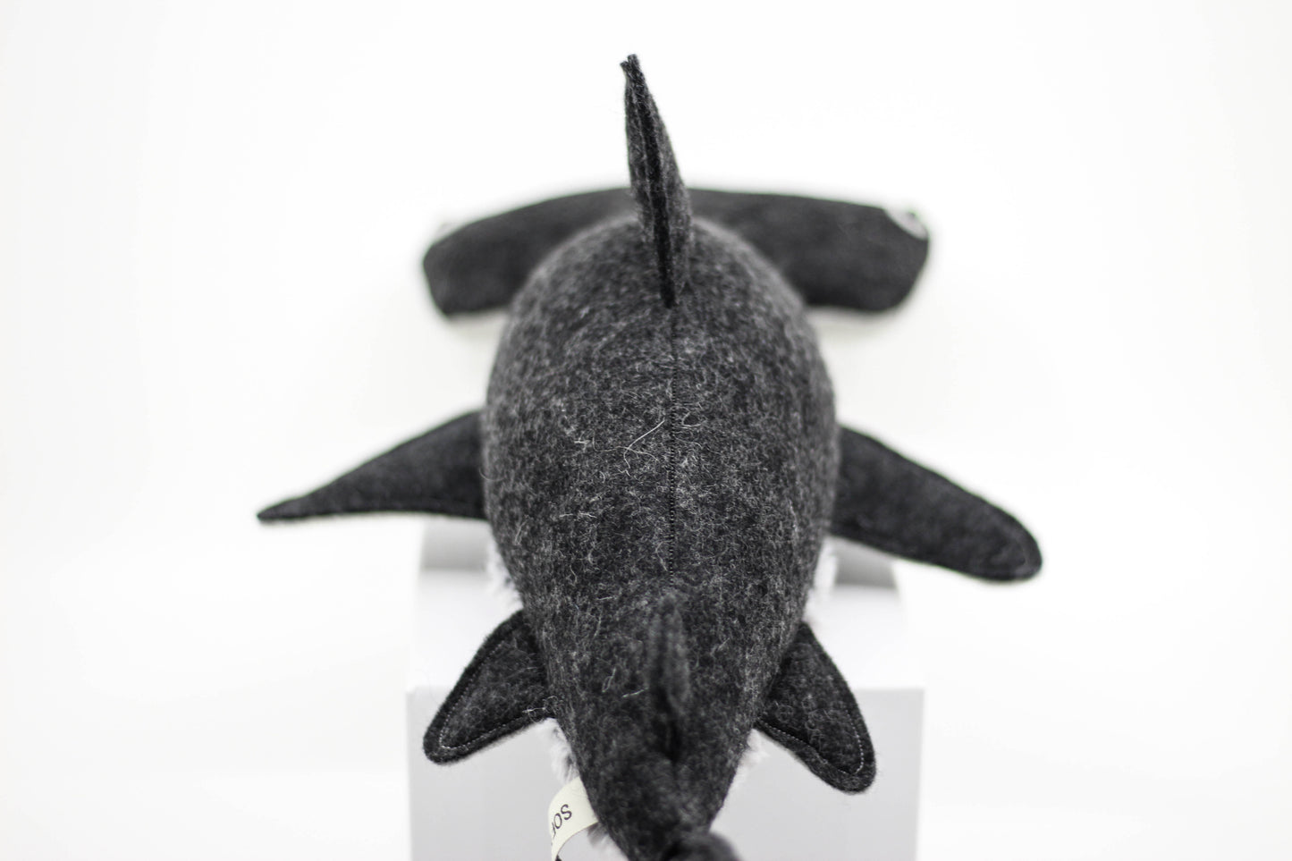 Hammerhead Shark Pup