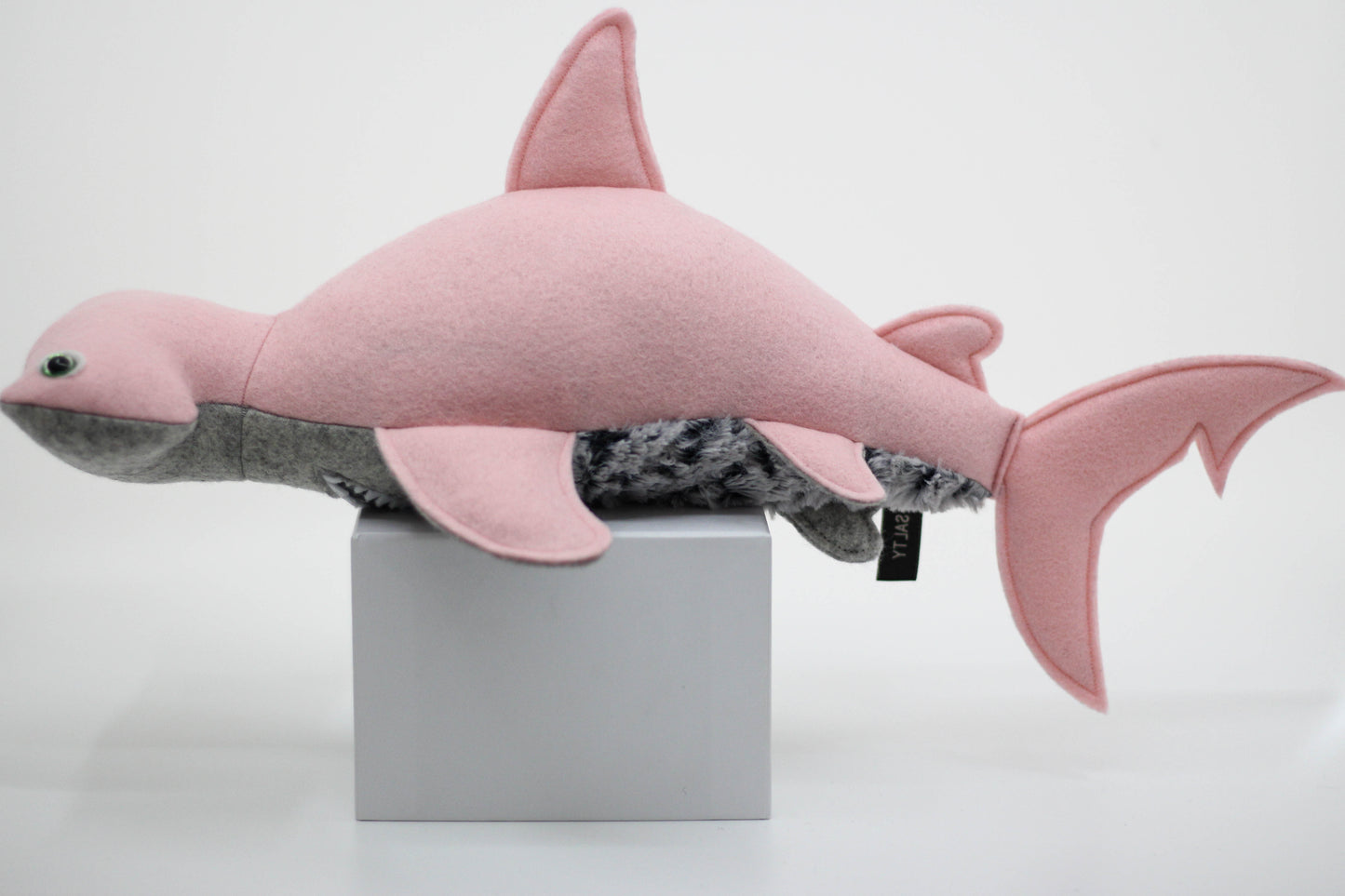 Hammerhead Shark Pup