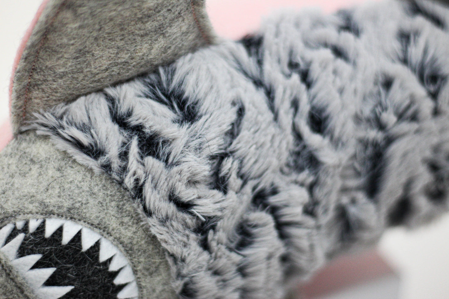 Hammerhead Shark Pup
