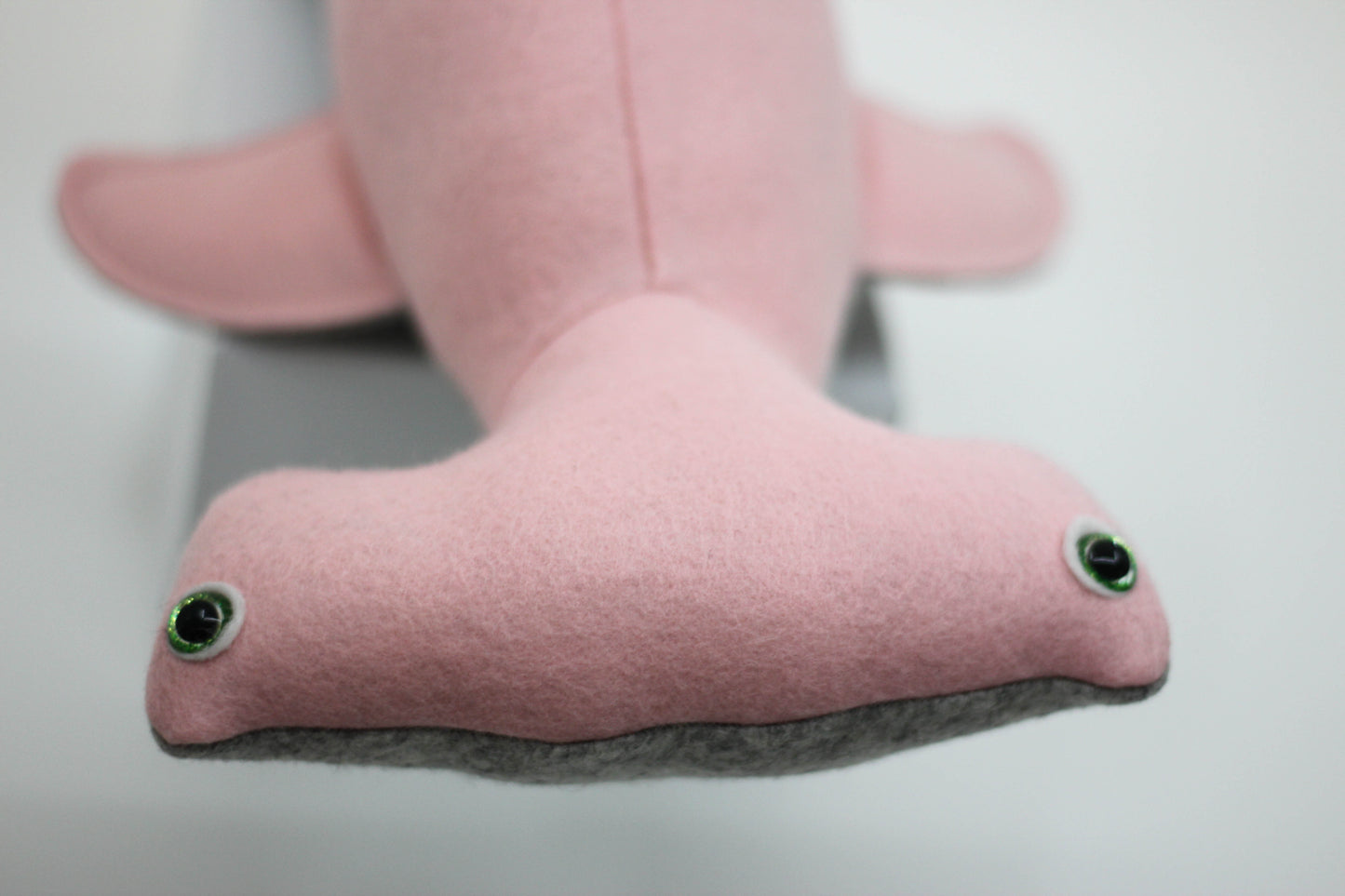 Hammerhead Shark Pup