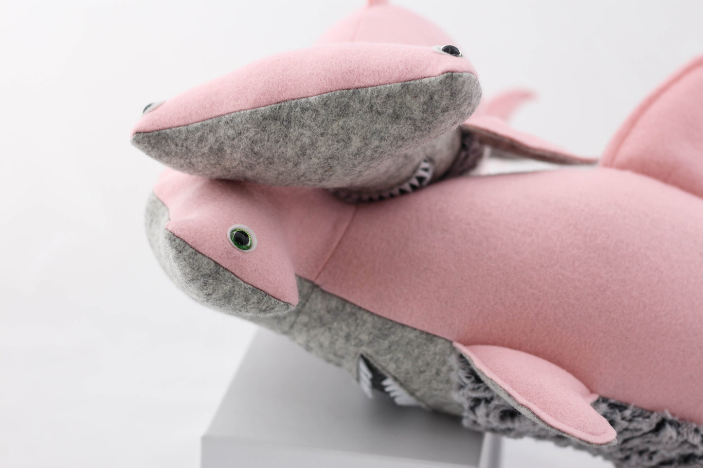 Hammerhead Shark Pup