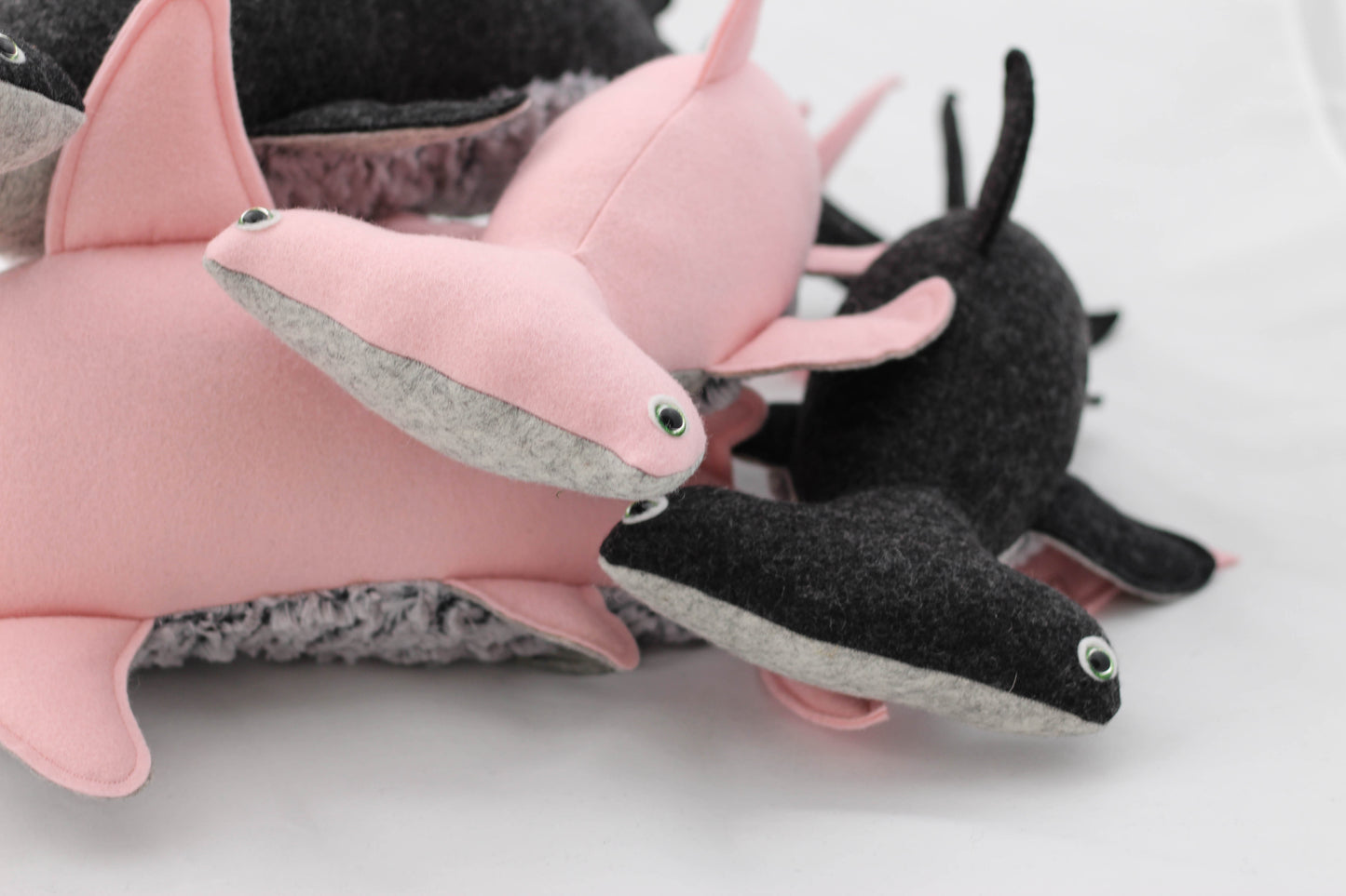 Hammerhead Shark Pup