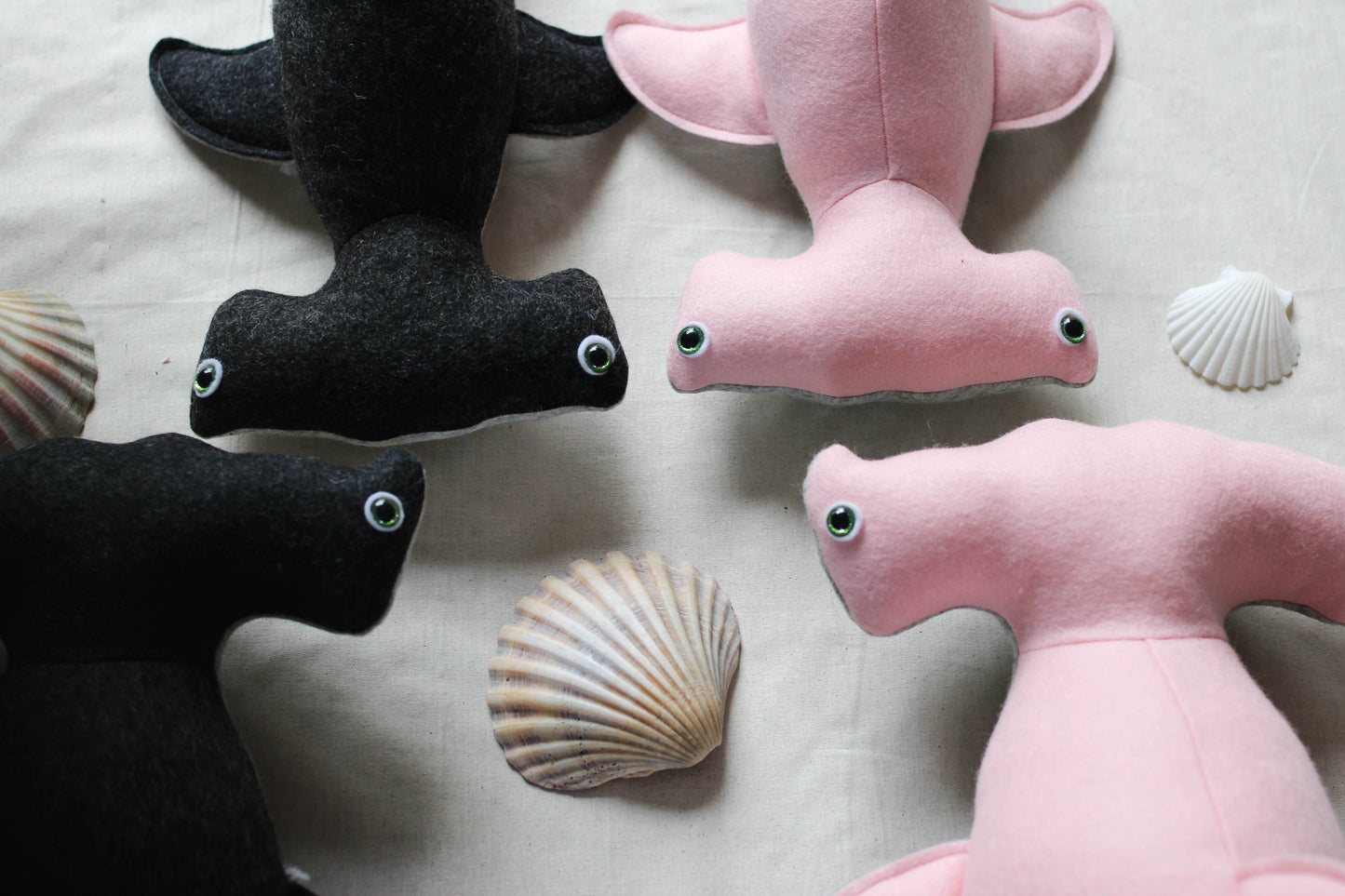 Hammerhead Shark Pup
