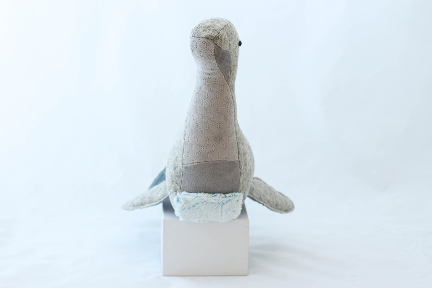 Percival the Plesiosaurus