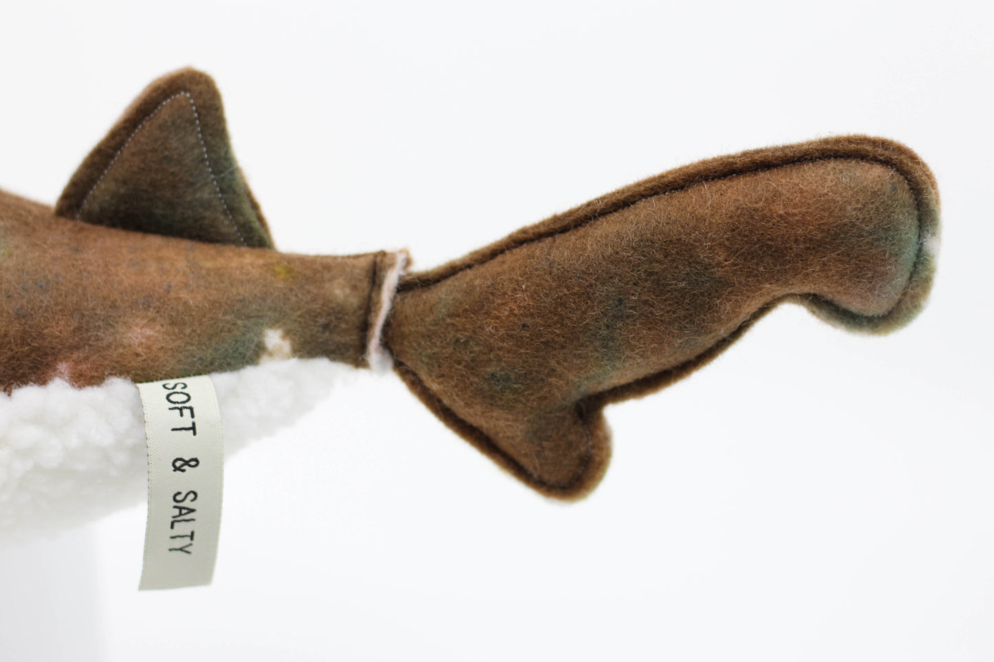 Wobbegong Pup