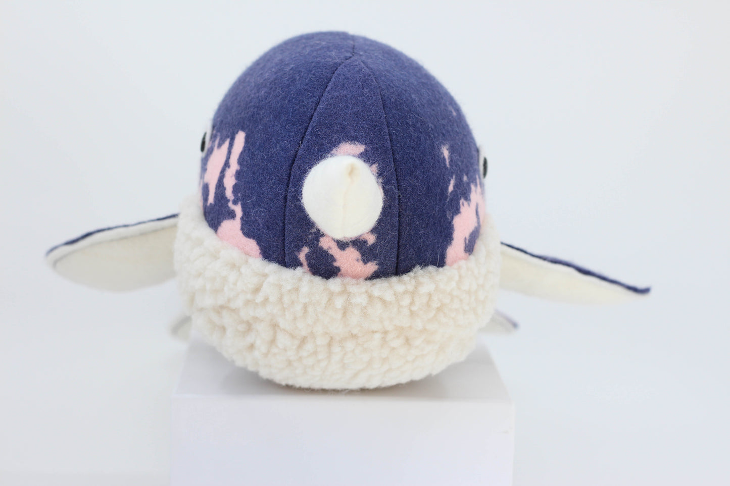 Narwhal Calf