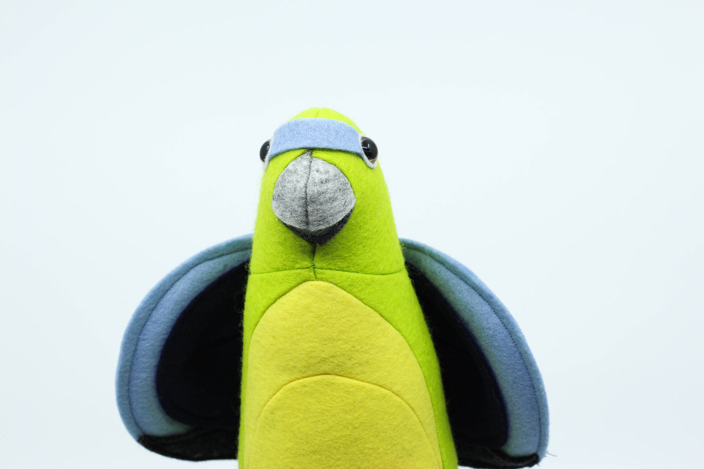 Olive the Orange Bellied Parrot