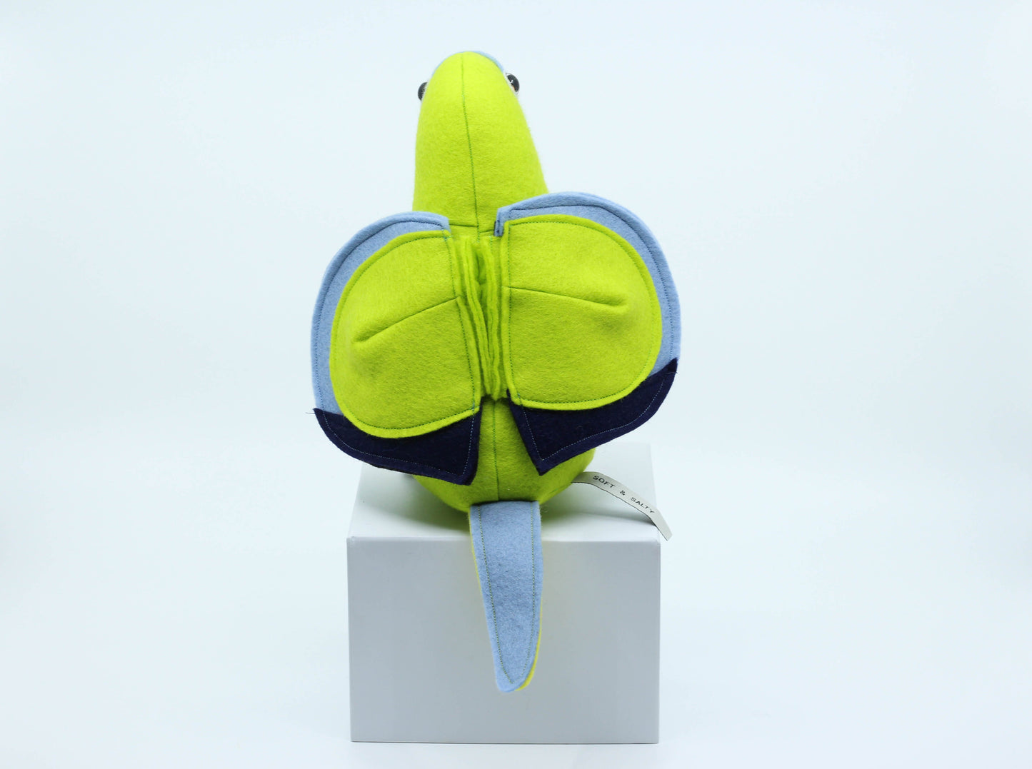 Olive the Orange Bellied Parrot