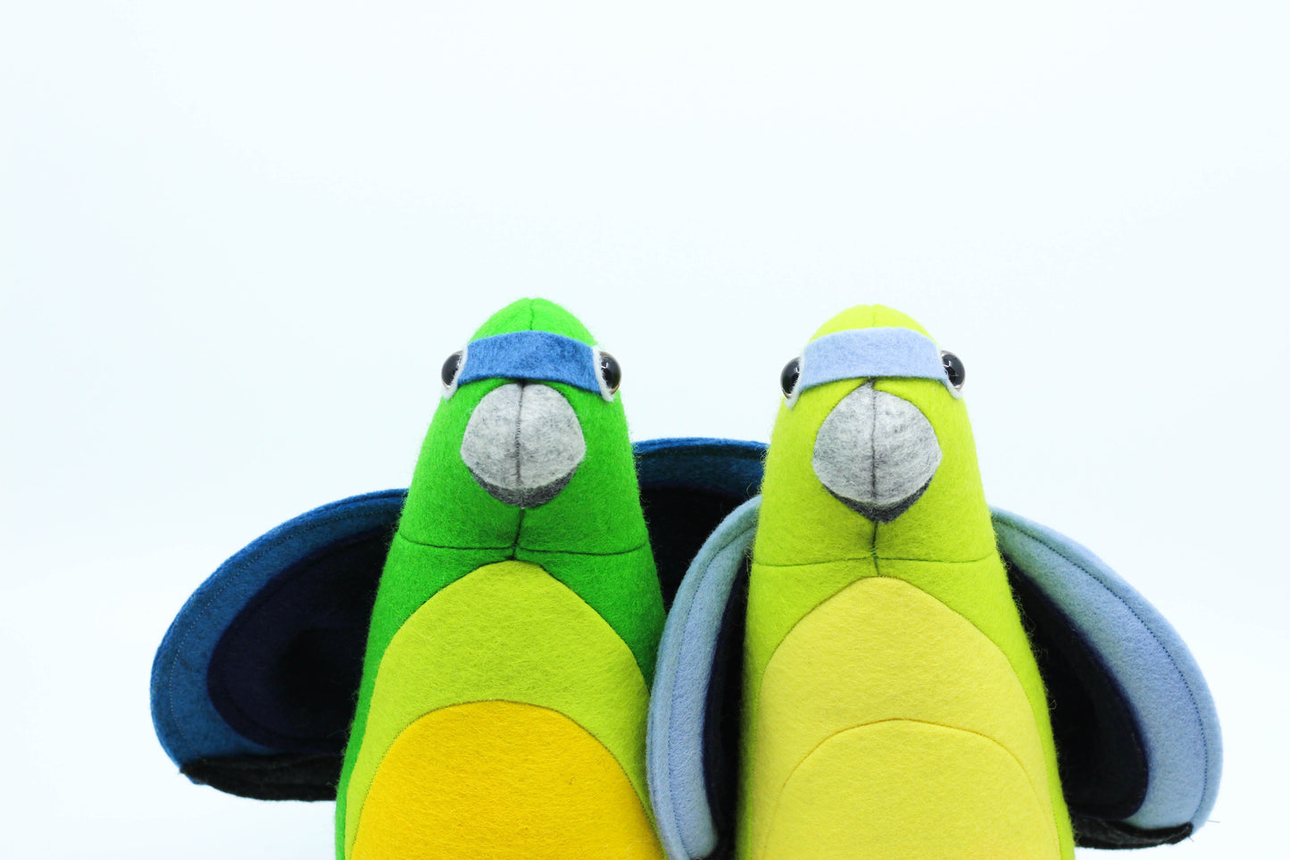 Olive the Orange Bellied Parrot