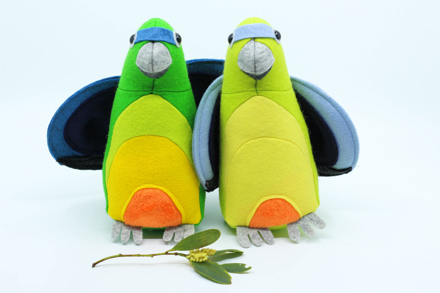 Olive the Orange Bellied Parrot