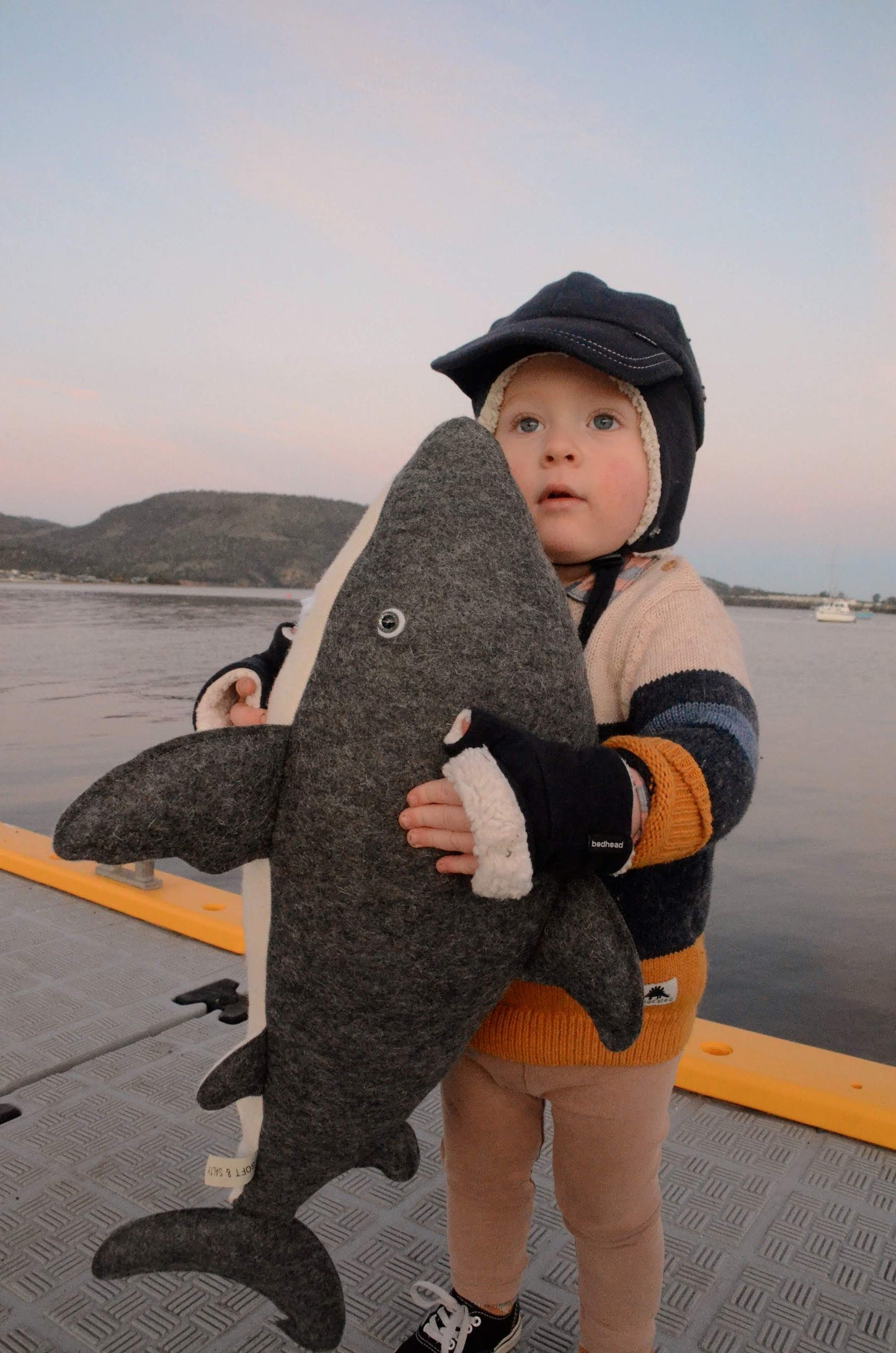 Gavin the Great White Shark