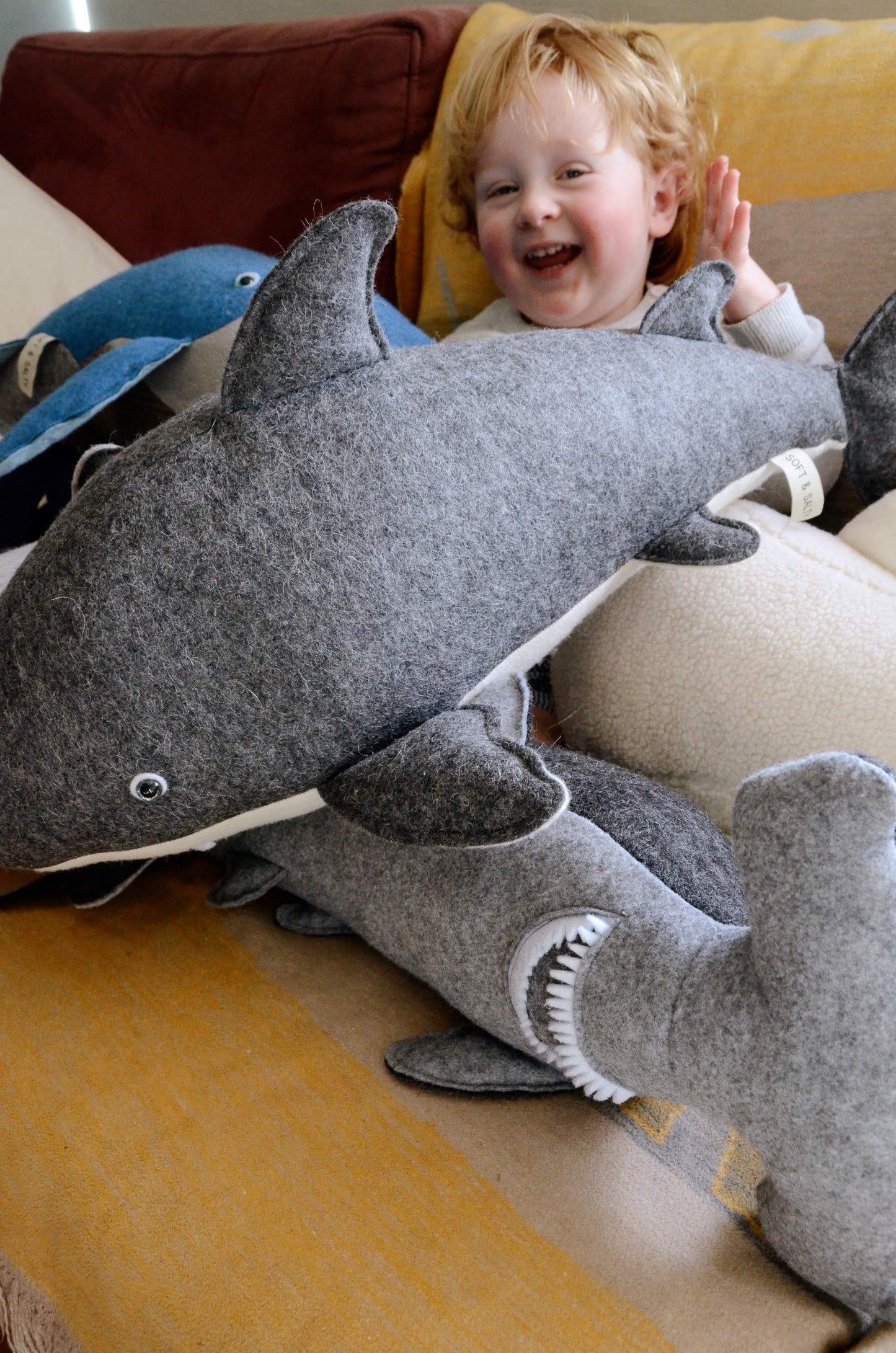 Gavin the Great White Shark