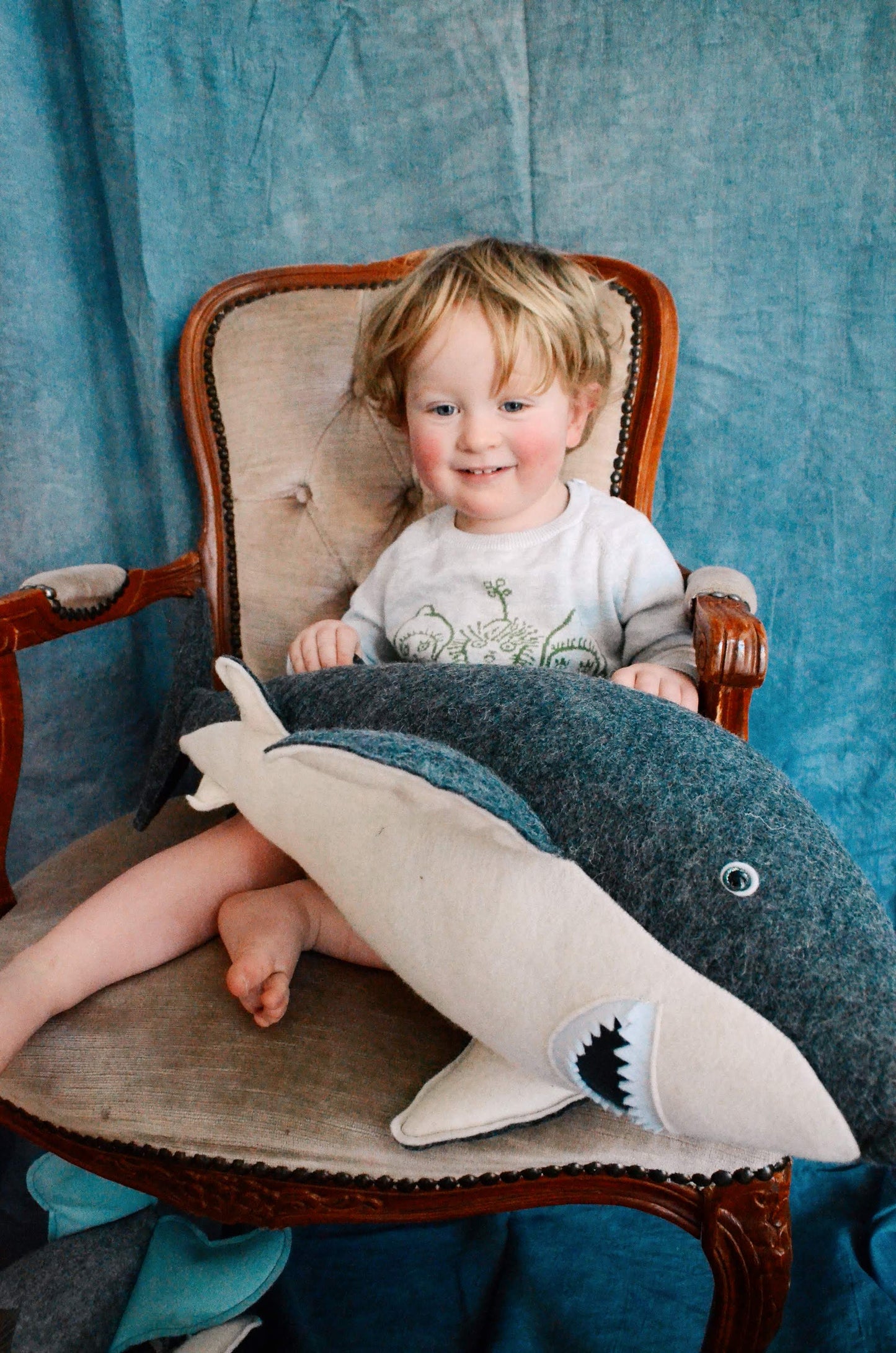 Gavin the Great White Shark
