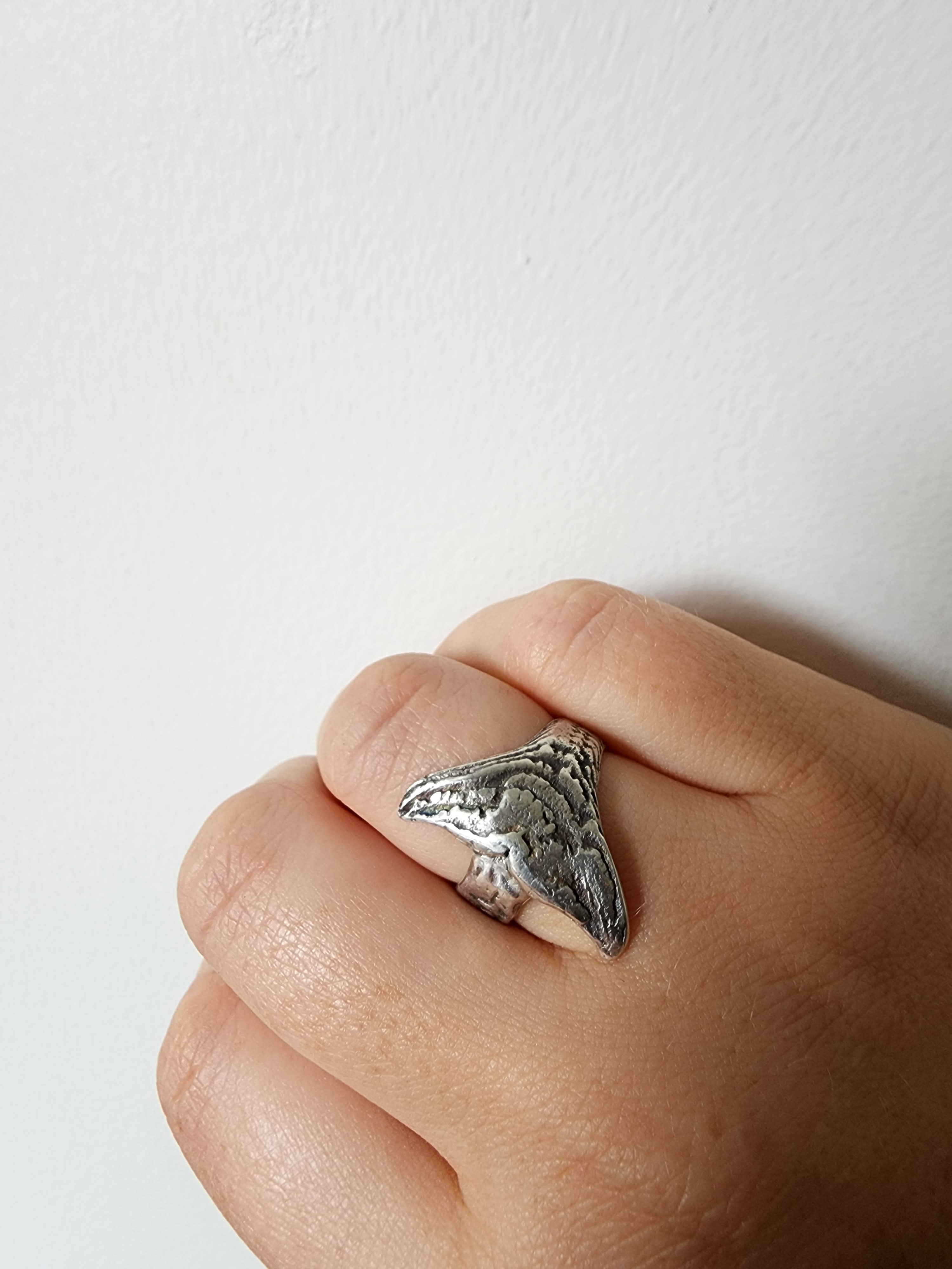 Whale tail clearance ring