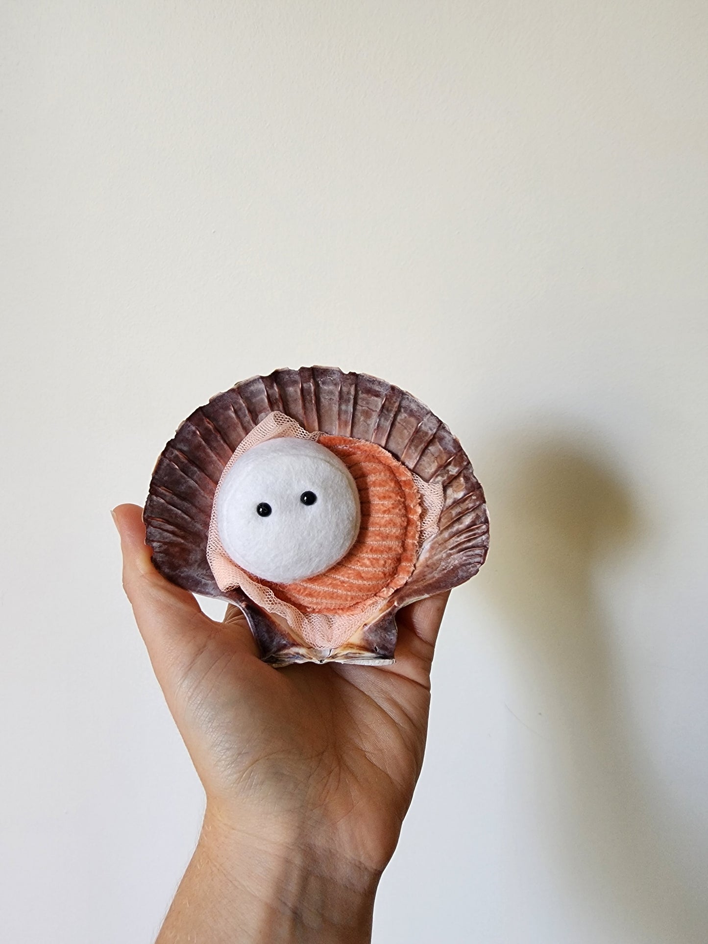 Scallop Fridge Magnet