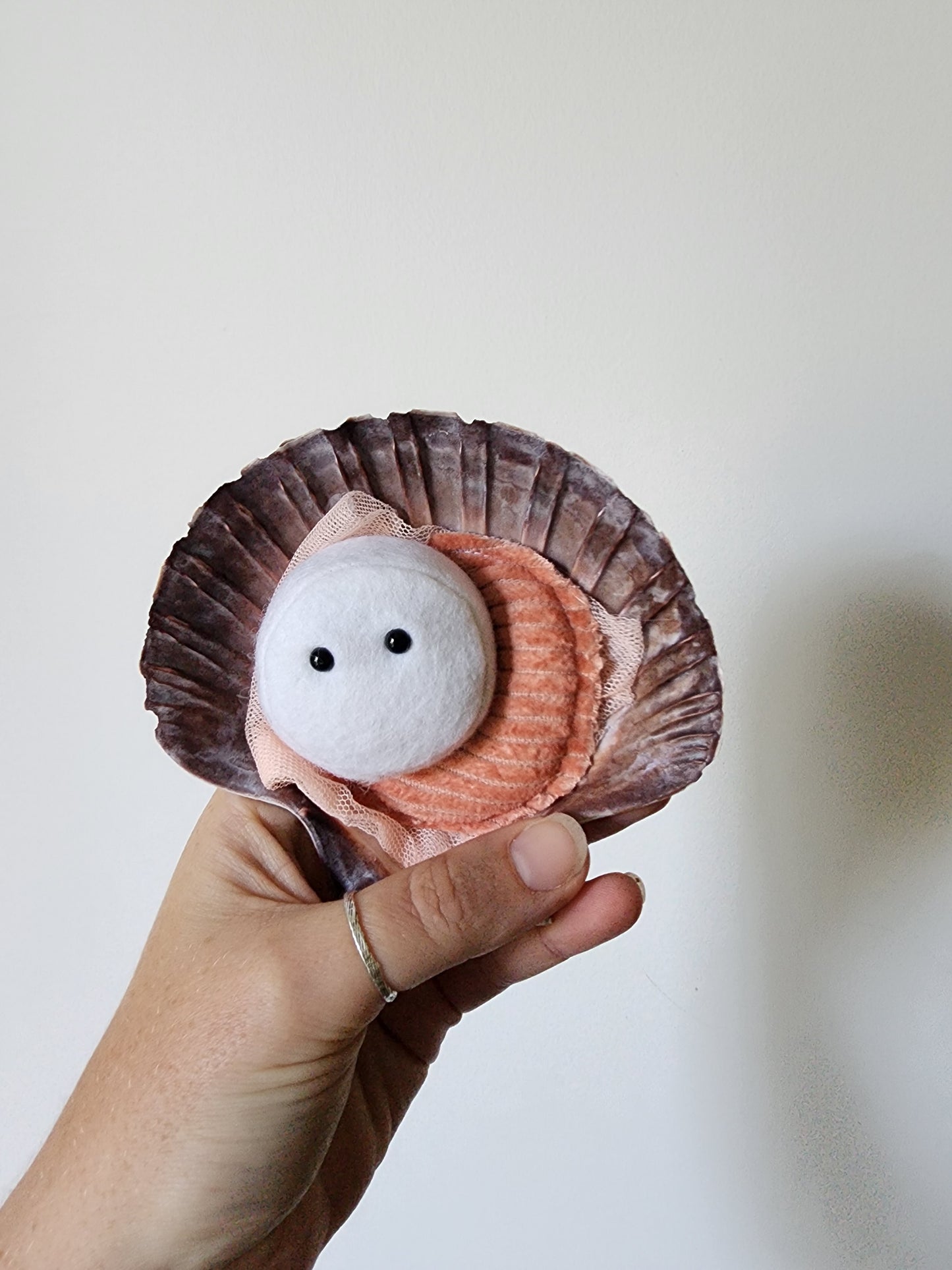 Scallop Fridge Magnet