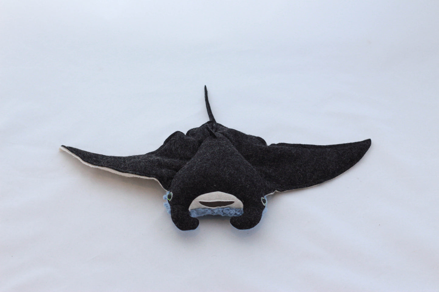 Mini Manta Ray