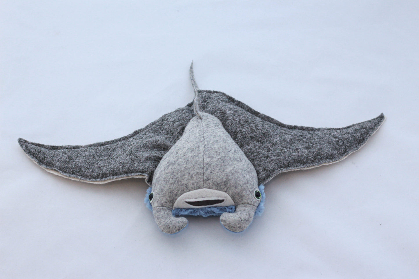 Mini Manta Ray