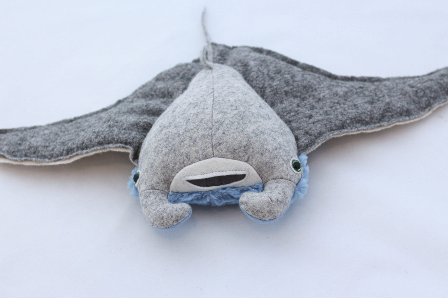 Mini Manta Ray