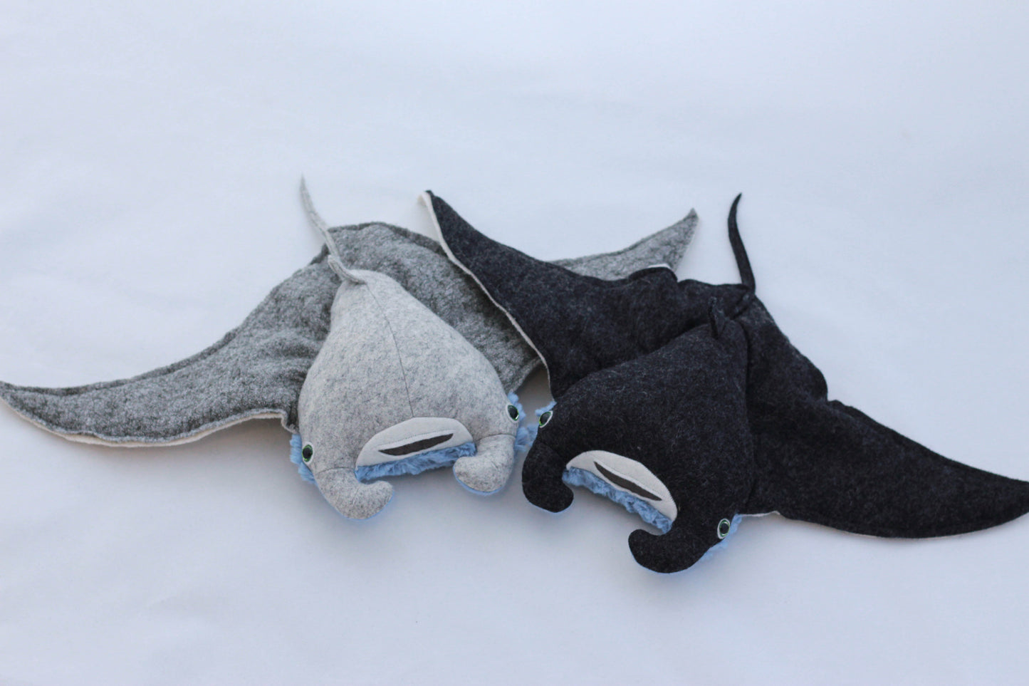 Mini Manta Ray